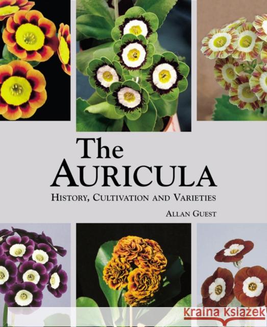 Auricula: History, Cultivation and Varieties Allan Guest 9781870673624 ACC Art Books