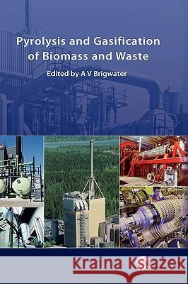 Pyrolysis and Gasification of Biomass and Waste Anthony V. Bridgwater 9781872691770 Cpl Press