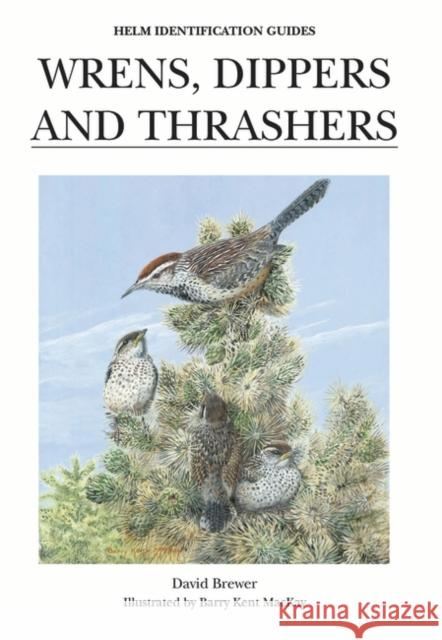 Wrens, Dippers and Thrashers Mr David Brewer, Barry Kent MacKay 9781873403952