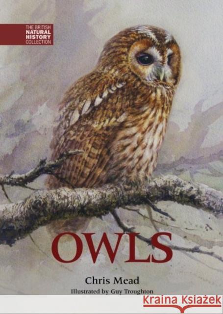 Owls Chris Mead, Guy Troughton, Mark Hancox, Mike Toms 9781873580837 Whittet Books Ltd