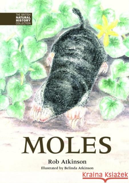 Moles Rob Atkinson, Belinda Atkinson 9781873580868 Whittet Books Ltd