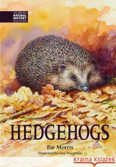 Hedgehogs Pat Morris 9781873580905 Whittet Books Ltd