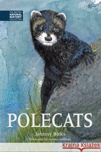 Polecats Johnny Birks 9781873580981