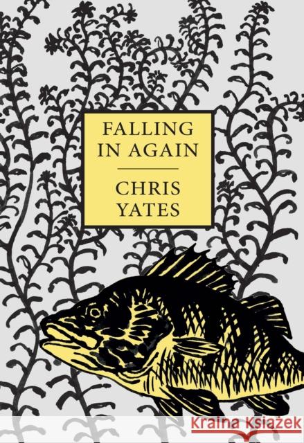 Falling in Again: Tales of an Incorrigible Angler Chris Yates 9781873674338 Merlin Unwin Books