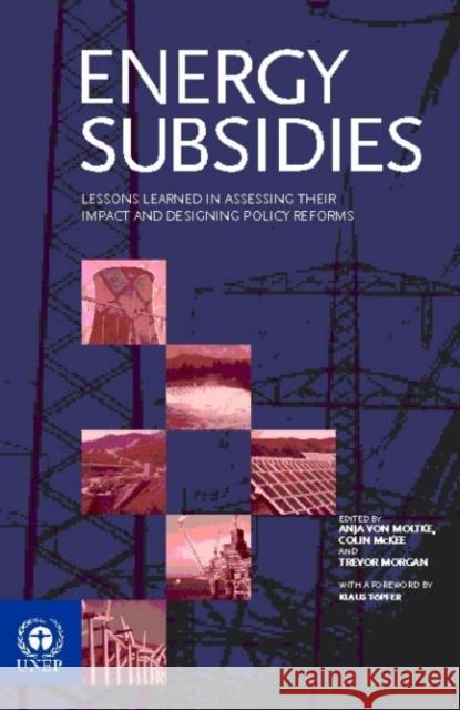 Energy Subsidies : Lessons Learned in Assessing their Impact and Designing Policy Reforms  9781874719113 Greenleaf Publishing