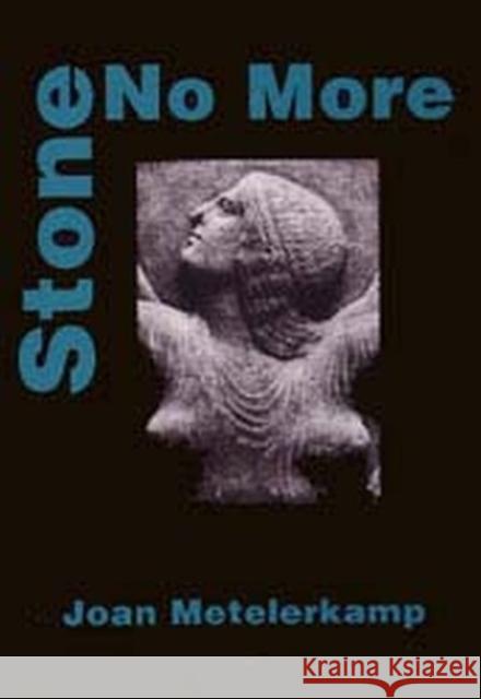 Stone No More Joan Metelerkamp 9781875011070 University of Kwazulu Natal Press