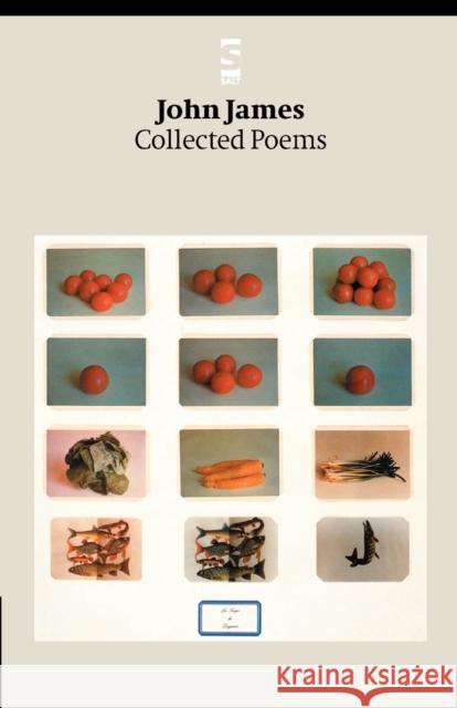 Collected Poems John James 9781876857400