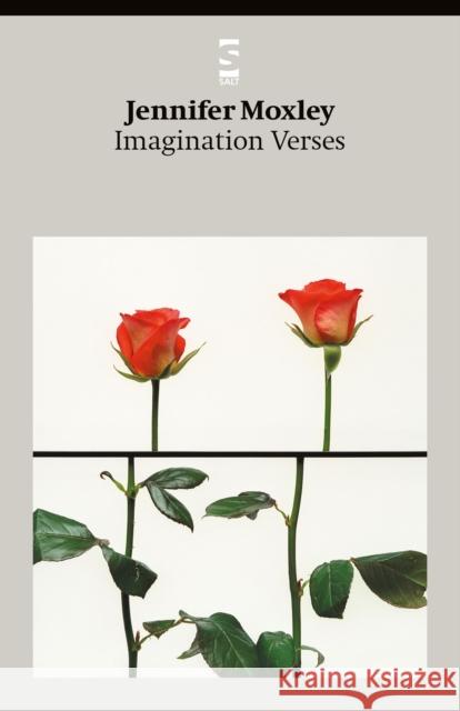 Imagination Verses Ms Jennifer Moxley 9781876857943 Salt Publishing