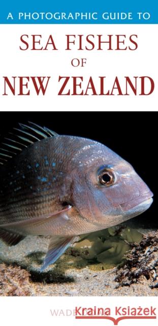 Photographic Guide To Sea Fishes Of New Zealand Doak Wade 9781877246951 Upstart Press Ltd