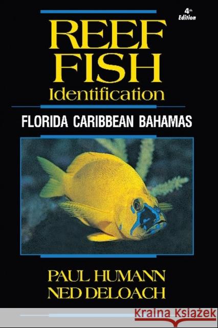 Reef Fish Identification: Florida Caribbean Bahamas Paul Humann Ned Deloach 9781878348579 New World Publications