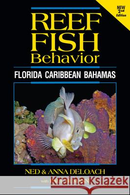 Reef Fish Behavior: Florida Caribbean Bahamas Ned Deloach, Anna Deloach 9781878348685 New World Publications Inc.,U.S.