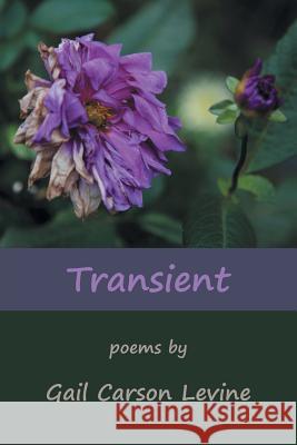 Transient Gail Carson Levine 9781879205901 Nightshade Press