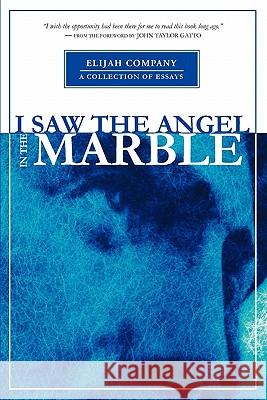 I Saw the Angel in the Marble Chris Davis Ellyn Davis John T. Gatto 9781884098246 Elijah Company