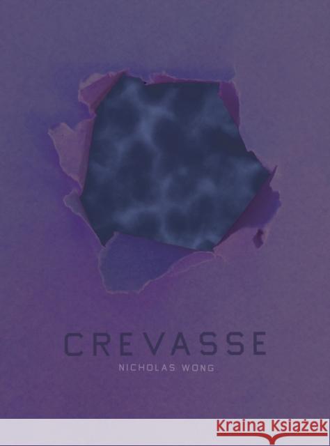 Crevasse Nicholas Wong 9781885030207 Kaya Press