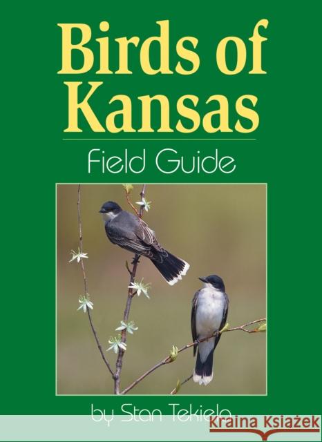 Birds of Kansas Field Guide Stan Tekiela 9781885061348 Adventure Publications