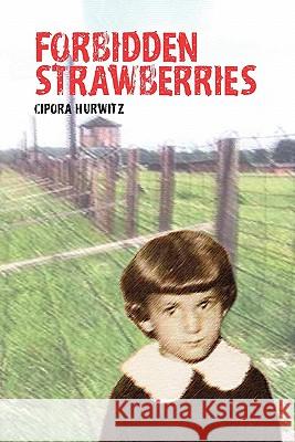 Forbidden Strawberries Cipora Hurwitz 9781885881380 Multi Educator, Incorporated