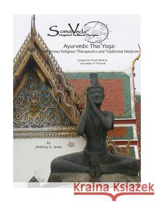 Ayurvedic Thai Yoga: SomaVeda(R) Level Two Workbook James, Anthony B. 9781886338104
