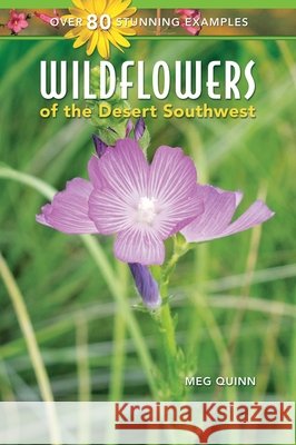 Wildflowers of the Desert Southwest Meg Quinn 9781887896252 Rio Nuevo Publishers
