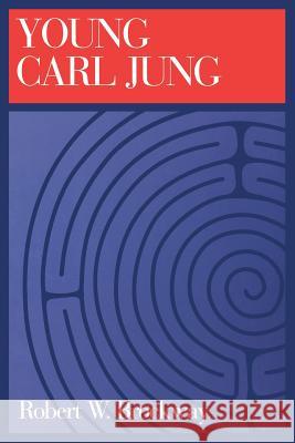 Young Carl Jung (P) Brockway, Robert 9781888602012 Continuum International Publishing Group