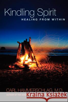 Kindling Spirit: Healing From Within Hammerschlag M. D., Carl A. 9781889166346 Turtle Island Press, Incorporated