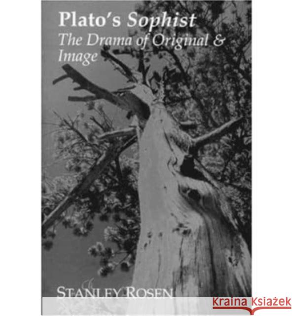 Plato's Sophist Stanley Rosen 9781890318635