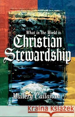 What in the World is Christian Stewardship Callahan, Mallery 9781890436124 Boyd Publications