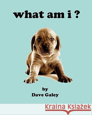 what am i Galey, Dave 9781890461744 Winlock Publishing Company