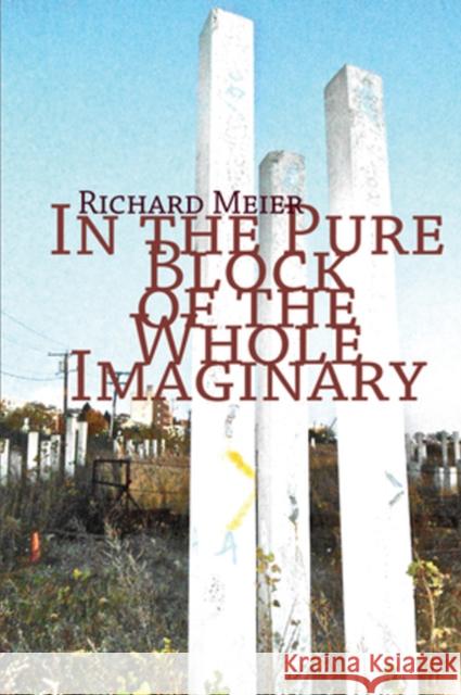 In the Pure Block of the Whole Imaginary Richard Meier 9781890650698