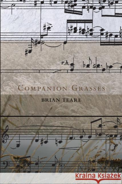 Companion Grasses Brian Teare 9781890650797