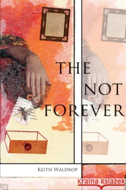 The Not Forever Keith Waldrop 9781890650889 Omnidawn Publishing