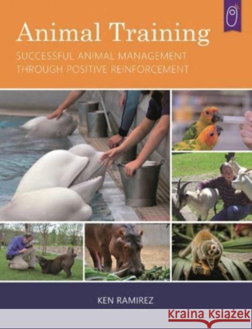 Animal Training: Successful Animal Management Through Positive Reinforcement Ken Ramirez 9781890948528