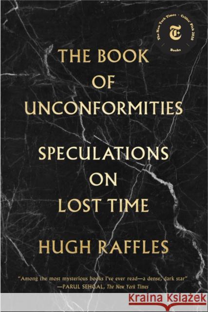 The Book of Unconformities Hugh Raffles 9781891241734 Puncture Publications
