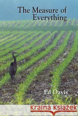 The Measure of Everything Ed Davis 9781891386510 Plain View Press