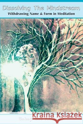 Dissolving the Mindstream: Withdrawing Name & Form in Meditation Kindler, Babaji Bob 9781891893148