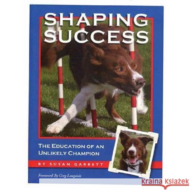 Shaping Success Susan Garrett 9781892694133