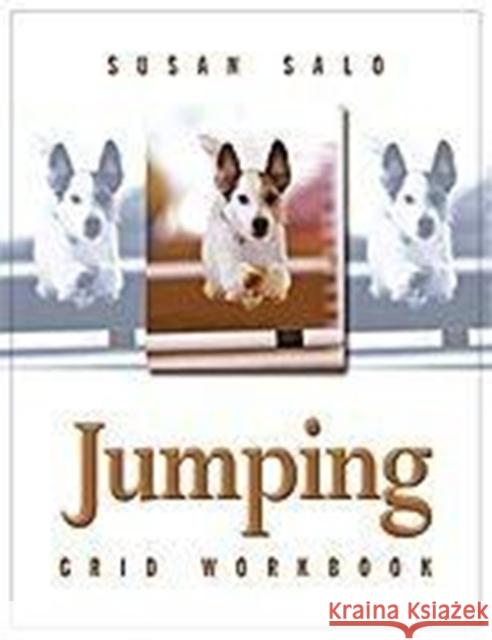 Jumping Grid Workbook Susan Salo 9781892694355