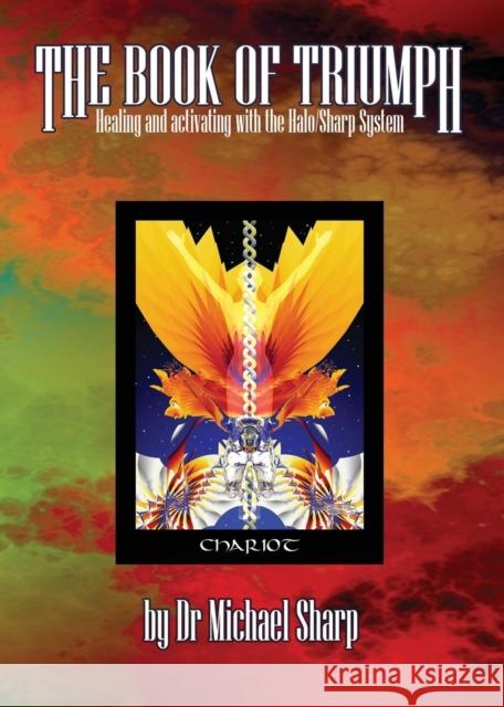 Triumph of Spirit Book One: Healing and Activating with the Triumph of Spirit Archetypes Mike Sosteric 9781897455623 Lightning Path