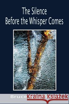 The Silence Before the Whisper Comes Bruce Kauffman   9781897475980