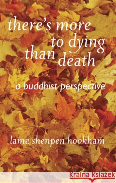 There's More to Dying Than Death: A Buddhist Perspective Lama Shenpen Hookman 9781899579686 Windhorse Publications (UK)