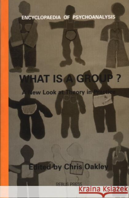 What Is a Group?: A New Look at Theory in Practice Chris Oakley 9781900877077 Karnac Books