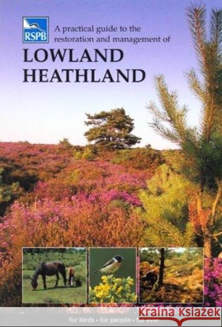 A Practical Guide to the Restoration and Management of Lowland Heathland  9781901930382 Royal Society for the Protection of Birds