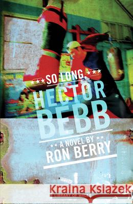 So Long Hector Bebb Ron Berry 9781902638805 Parthian