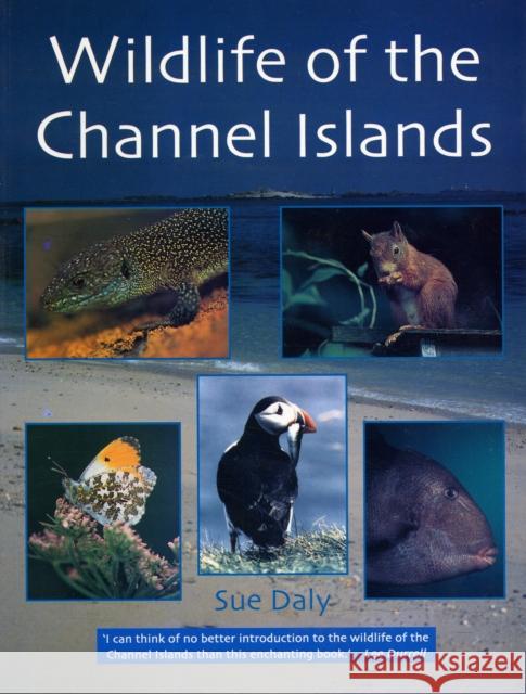 Wildlife of the Channel Islands Sue Daly 9781903341247 Ex Libris Press
