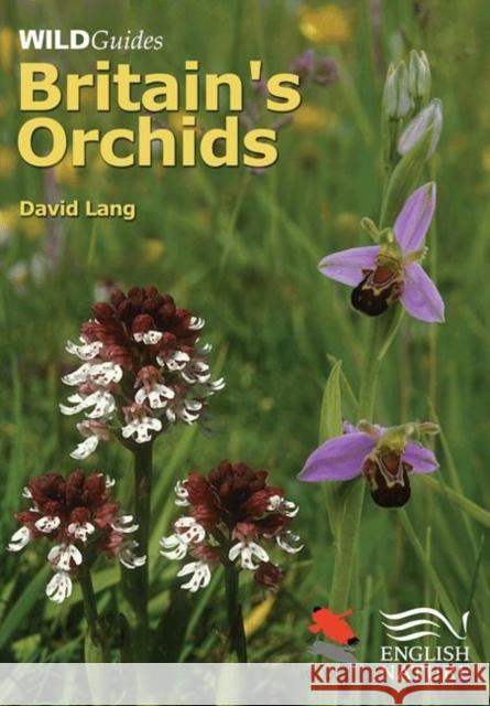 Britain's Orchids Lang, David 9781903657065 0