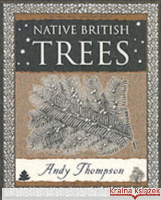 Native British Trees Andy Thompson 9781904263326 Wooden Books