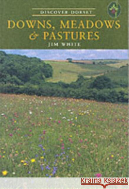 Downs, Meadows and Pastures Jim White 9781904349082 The Dovecote Press