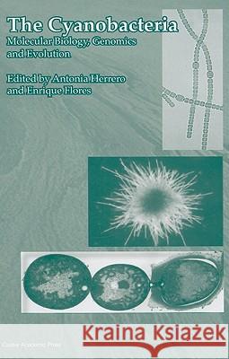 The Cyanobacteria: Molecular Biology, Genomics and Evolution Antonia Herrero Enrique Flores 9781904455158 Caister Academic Press