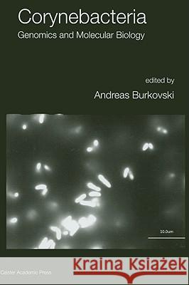Corynebacteria: Genomics and Molecular Biology Andreas Burkovski Andreas Burkovski 9781904455301 Caister Academic Press