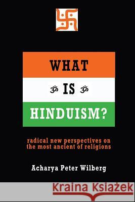What is Hinduism?: Radical New Perspectives on the Most Ancient of Religions Peter Wilberg 9781904519157 New Gnosis Publications