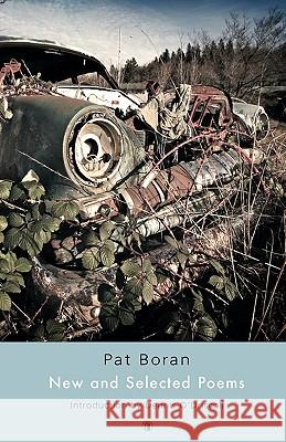 New and Selected Poems Pat Boran 9781904556831 Dedalus Press